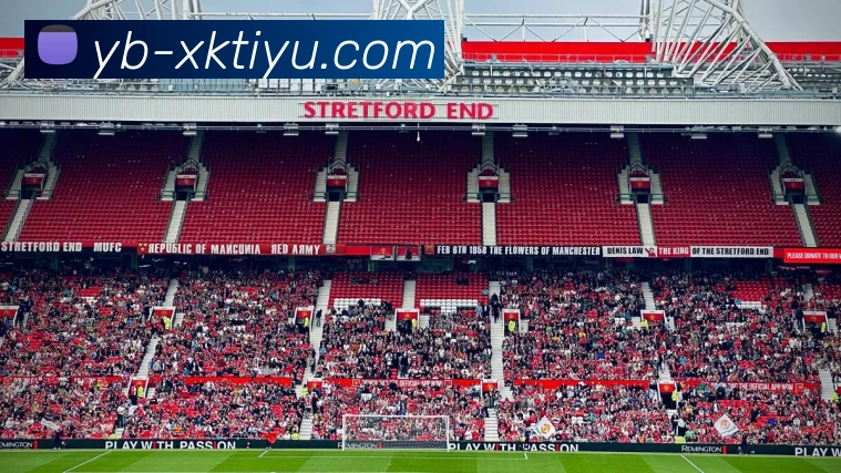 App Interface Preview