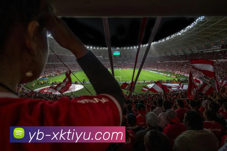 星空体育APP 封面图